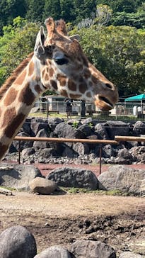 伊豆アニマルキングダムに投稿された画像（2022/5/7）