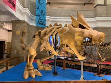 国立科学博物館　特別企画展「ポケモン化石博物館」に投稿された画像（2022/5/7）