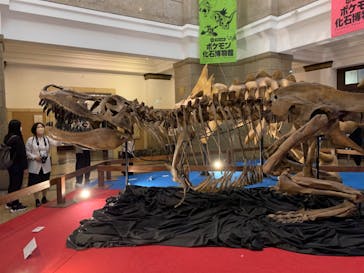 国立科学博物館　特別企画展「ポケモン化石博物館」に投稿された画像（2022/5/7）