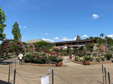 ひらかたパークに投稿された画像（2022/5/7）