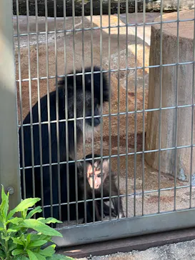 天王寺動物園に投稿された画像（2022/5/7）