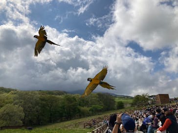 那須どうぶつ王国に投稿された画像（2022/5/7）