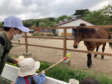 那須どうぶつ王国に投稿された画像（2022/5/7）