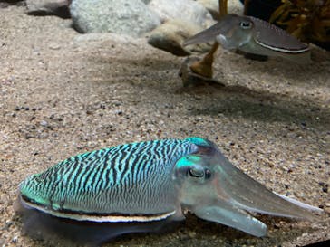 株式会社Gに投稿された画像（2022/5/7）