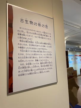 国立科学博物館　特別企画展「ポケモン化石博物館」に投稿された画像（2022/5/7）