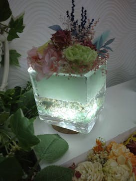 ずこうしつ〜sugamo〜に投稿された画像（2022/5/7）