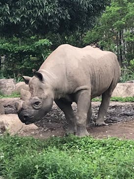 よこはま動物園ズーラシアに投稿された画像（2022/5/7）
