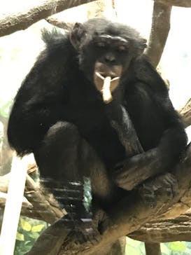 よこはま動物園ズーラシアに投稿された画像（2022/5/7）