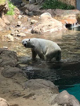 よこはま動物園ズーラシアに投稿された画像（2022/5/7）