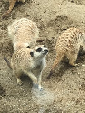よこはま動物園ズーラシアに投稿された画像（2022/5/7）