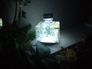 ずこうしつ〜sugamo〜に投稿された画像（2022/5/7）