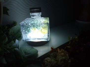 ずこうしつ〜sugamo〜に投稿された画像（2022/5/7）