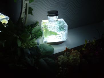 ずこうしつ〜sugamo〜に投稿された画像（2022/5/7）