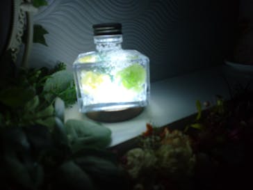 ずこうしつ〜sugamo〜に投稿された画像（2022/5/7）