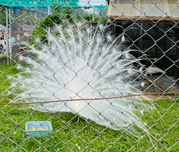 東武動物公園に投稿された画像（2022/5/7）