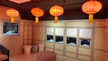 横浜開運水族館 フォーチュンアクアリウムに投稿された画像（2022/5/7）