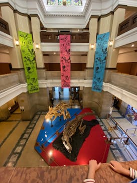 国立科学博物館　特別企画展「ポケモン化石博物館」に投稿された画像（2022/5/7）