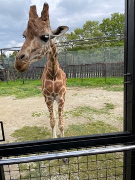 那須サファリパークに投稿された画像（2022/5/7）