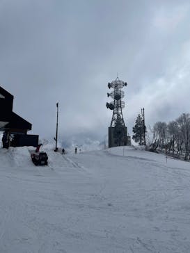 野沢温泉スキー場に投稿された画像（2022/5/7）