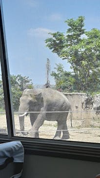 群馬サファリパークに投稿された画像（2022/5/7）