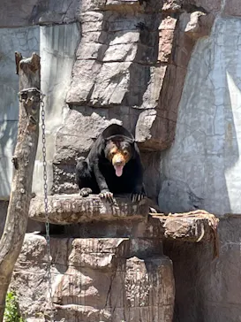 天王寺動物園に投稿された画像（2022/5/7）