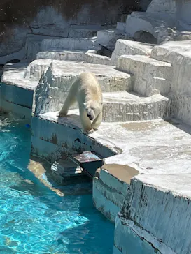天王寺動物園に投稿された画像（2022/5/7）