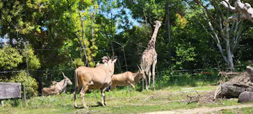 天王寺動物園に投稿された画像（2022/5/7）