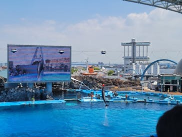 名古屋港水族館に投稿された画像（2022/5/7）