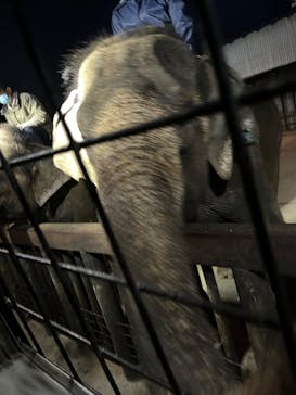 那須サファリパークに投稿された画像（2022/5/7）