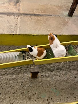 那須サファリパークに投稿された画像（2022/5/7）