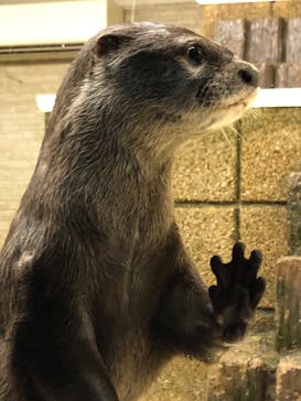 越前松島水族館に投稿された画像（2022/5/7）