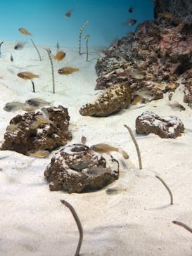 アクアワールド茨城県大洗水族館に投稿された画像（2022/5/7）