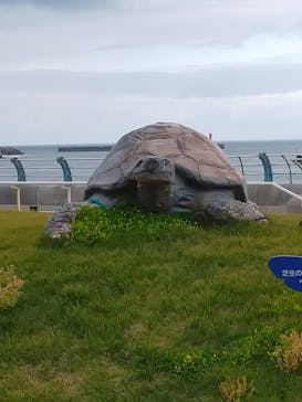 アクアワールド茨城県大洗水族館に投稿された画像（2022/5/7）
