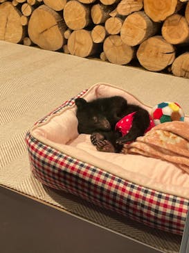 奥飛騨クマ牧場に投稿された画像（2022/5/7）