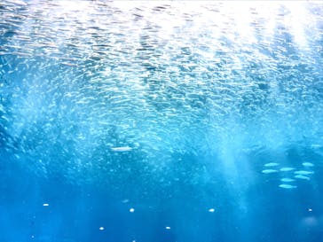 名古屋港水族館に投稿された画像（2022/5/7）