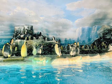 名古屋港水族館に投稿された画像（2022/5/7）