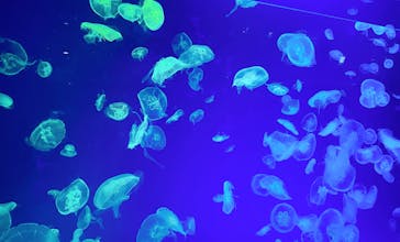 名古屋港水族館に投稿された画像（2022/5/7）