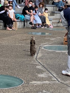 大分マリーンパレス水族館 「うみたまご」に投稿された画像（2022/5/7）