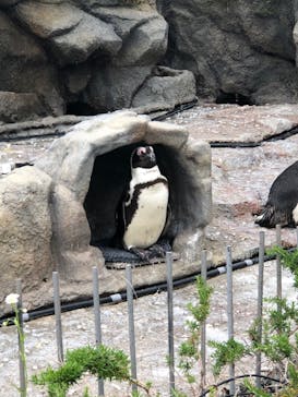 サンシャイン水族館に投稿された画像（2022/5/7）