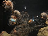 環境水族館アクアマリンふくしまに投稿された画像（2022/5/7）