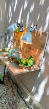 仙台うみの杜水族館に投稿された画像（2022/5/7）