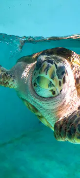 仙台うみの杜水族館に投稿された画像（2022/5/7）