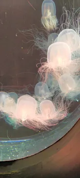 仙台うみの杜水族館に投稿された画像（2022/5/7）