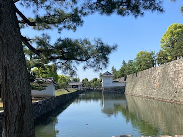 元離宮二条城に投稿された画像（2022/5/7）