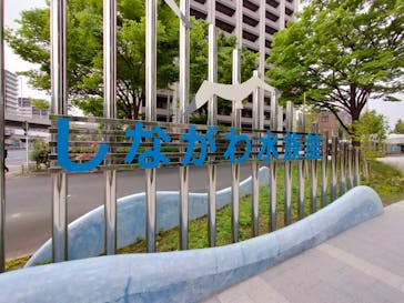 しながわ水族館に投稿された画像（2022/5/7）