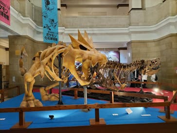 国立科学博物館　特別企画展「ポケモン化石博物館」に投稿された画像（2022/5/7）