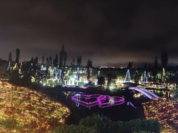 美らヤシパークオキナワ・東南植物楽園に投稿された画像（2022/5/7）