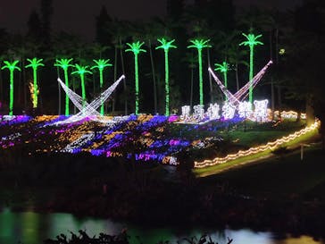 美らヤシパークオキナワ・東南植物楽園に投稿された画像（2022/5/7）