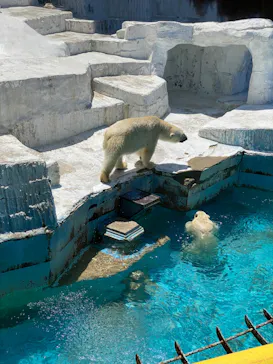 天王寺動物園に投稿された画像（2022/5/7）