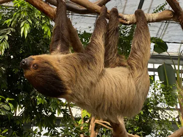 神戸どうぶつ王国に投稿された画像（2022/5/7）